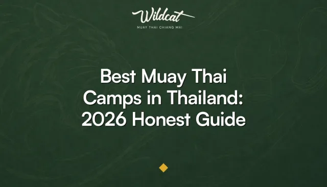 Best Muay Thai camps in Thailand — Wildcat Muay Thai Chiang Mai