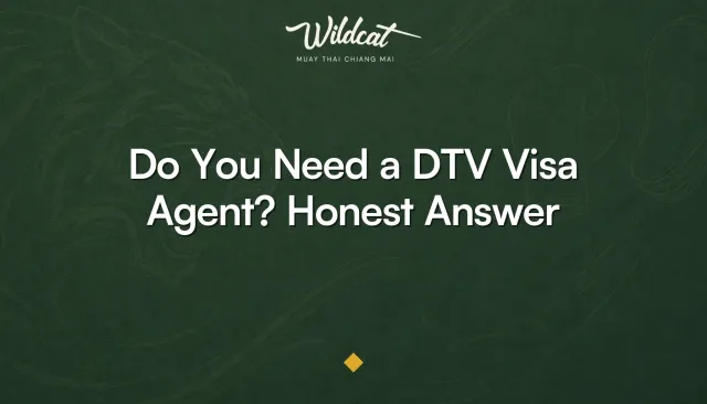 Wildcat Muay Thai owner helping a DTV visa applicant over WhatsApp instead of a paid agent