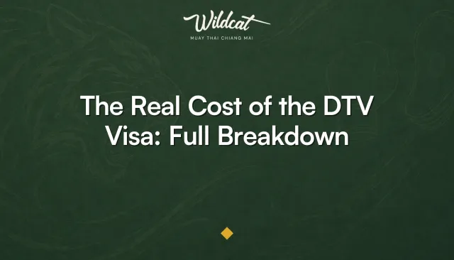 Wildcat Muay Thai owner breaking down the real cost of a DTV visa in Chiang Mai