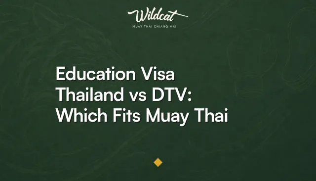 Wildcat Muay Thai owner comparing Thailand's education visa and DTV options for training