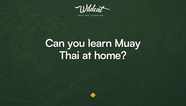 Can you learn Muay Thai at home — Wildcat Muay Thai Chiang Mai