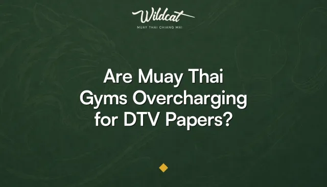 Wildcat Muay Thai cover asking whether gyms overcharge for DTV visa papers