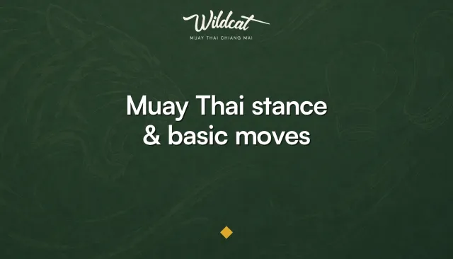 Muay Thai stance and basic moves explained — Wildcat Muay Thai Chiang Mai