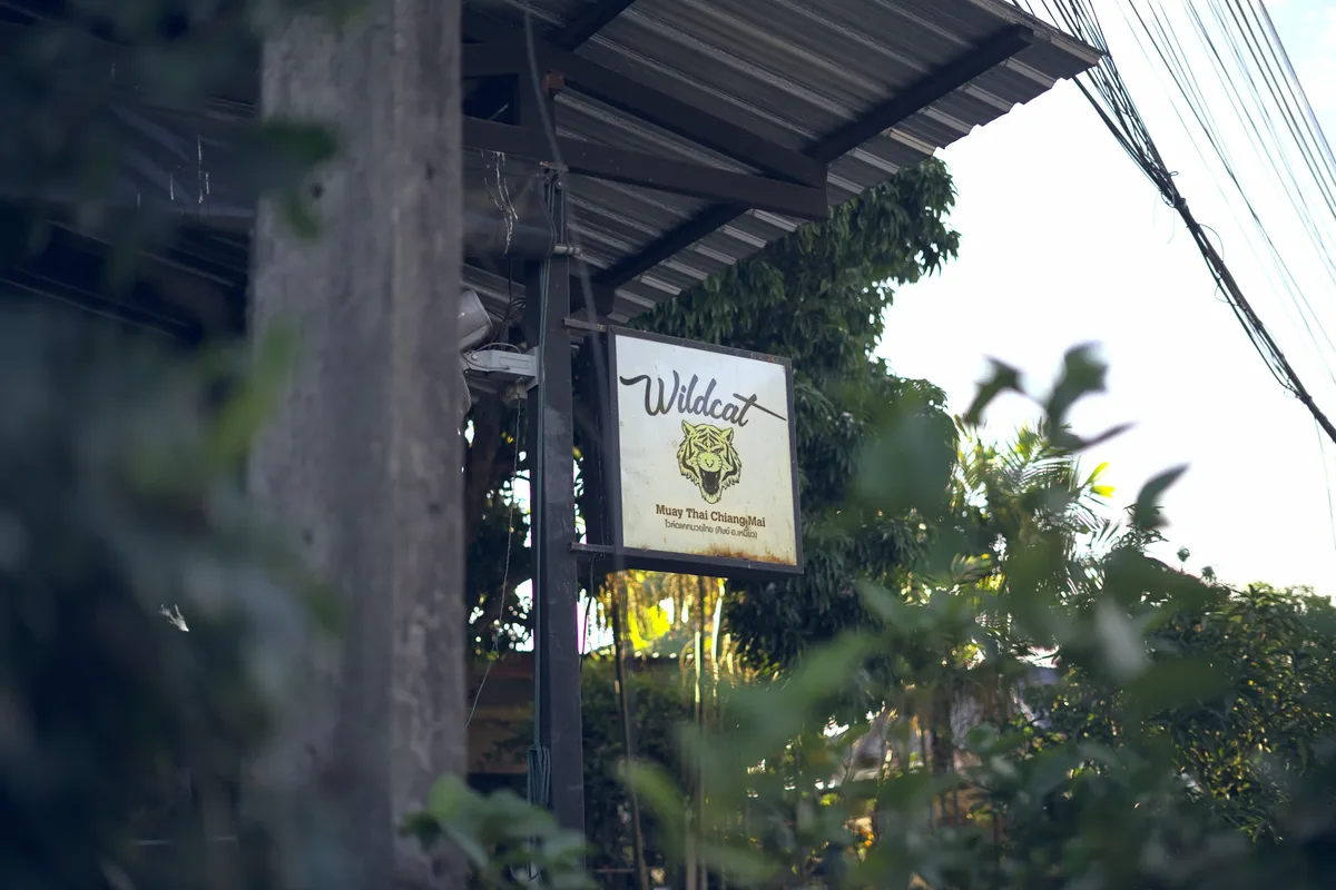 The open-air Wildcat gym, pool and garden in Chiang Mai